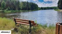 Działka rolna Chociszew. Zdjęcie 1