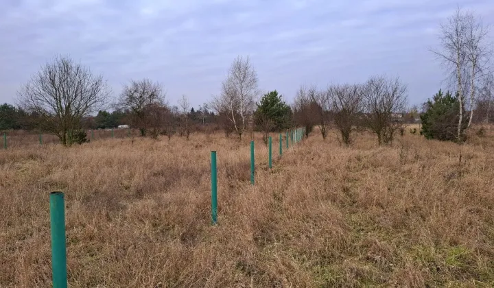 Działka budowlana Pniewy, ul. Wroniecka