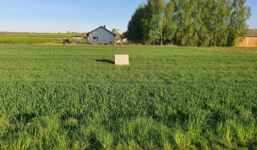 Działka budowlana Skrzynice-Kolonia