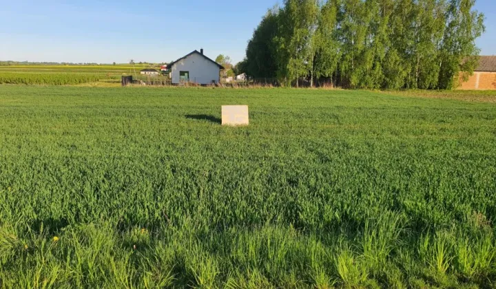 Działka budowlana Skrzynice-Kolonia