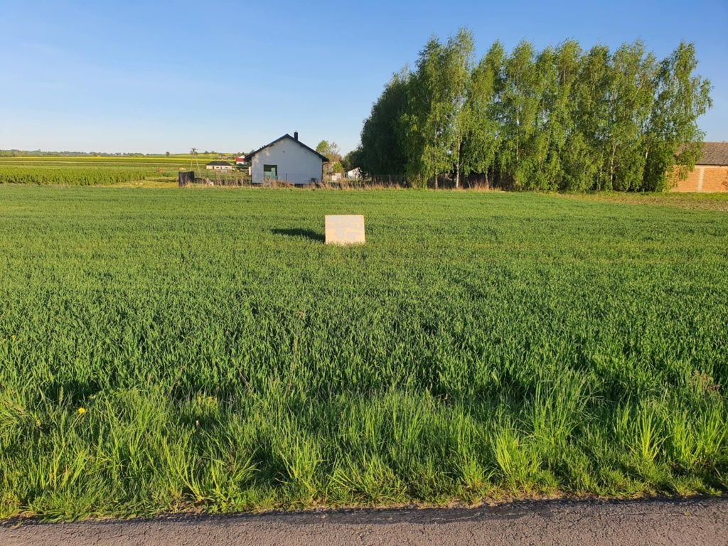 Działka budowlana Skrzynice-Kolonia