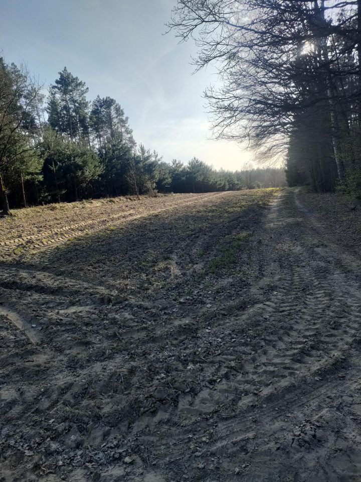 Działka rolna Jasionna. Zdjęcie 6