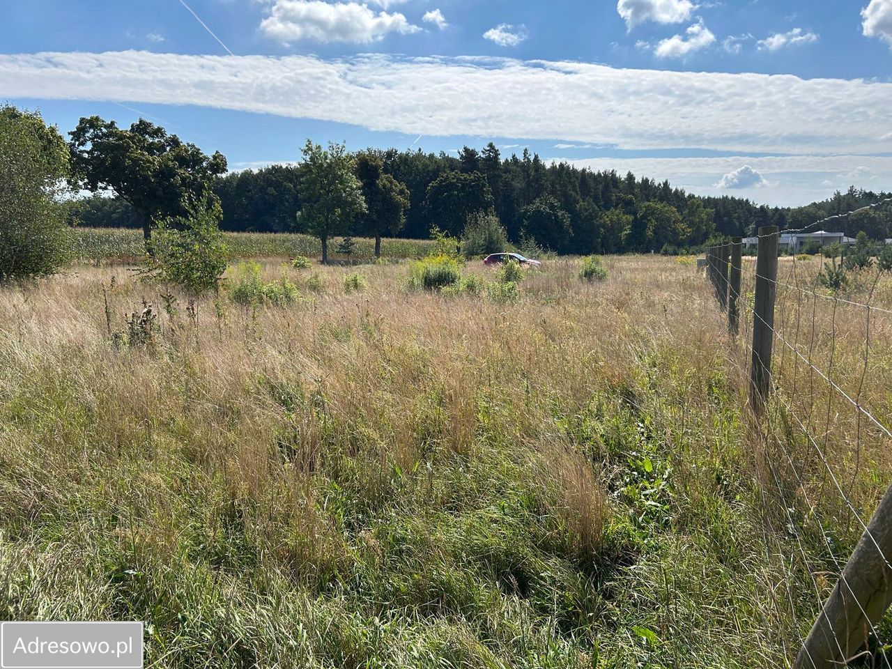Działka budowlana Sadowie. Zdjęcie 5