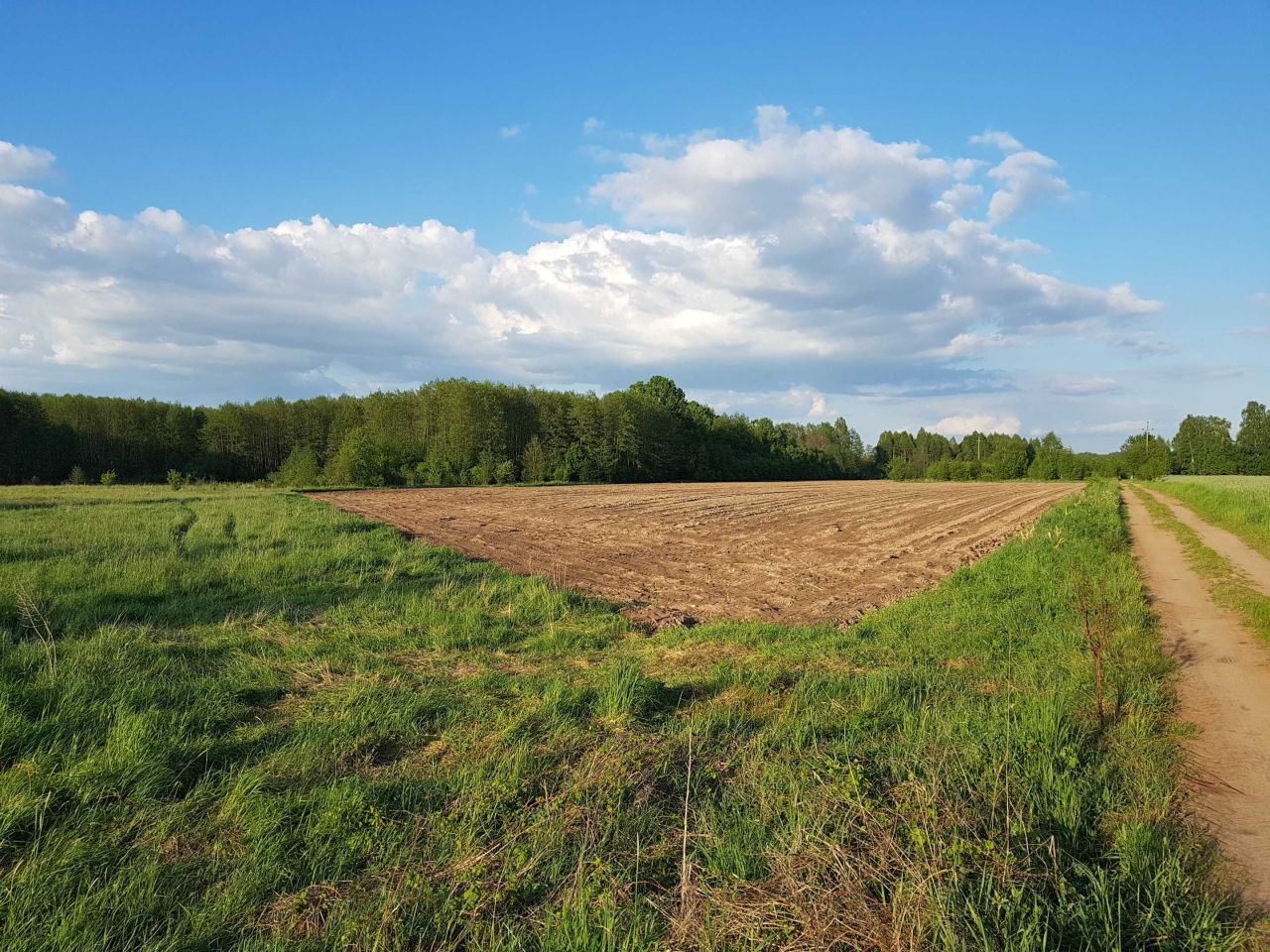 Działka budowlana Rajki. Zdjęcie 5