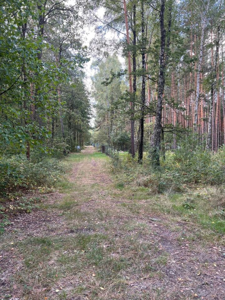 Działka rolna Daniszewice. Zdjęcie 3