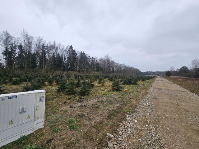 Działka budowlana Skierniewice Centrum, ul. Nowomiejska. Zdjęcie 2