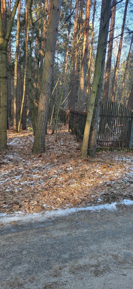 Działka budowlana Żarki-Letnisko, ul. Wiejska. Zdjęcie 2