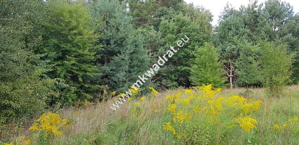 Działka budowlana Książenice. Zdjęcie 9