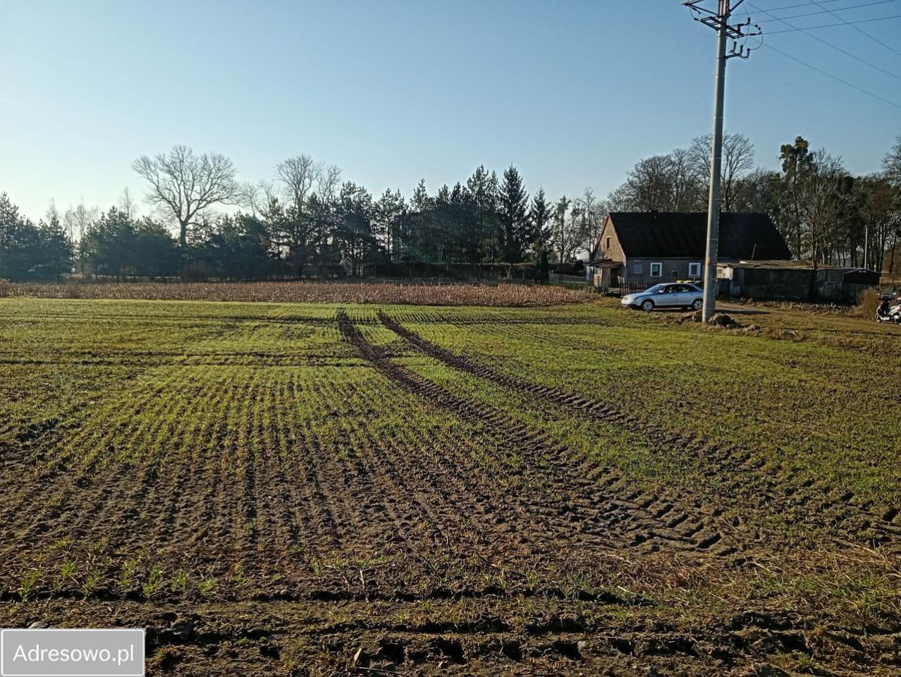 Działka budowlana Pruska Łąka. Zdjęcie 3
