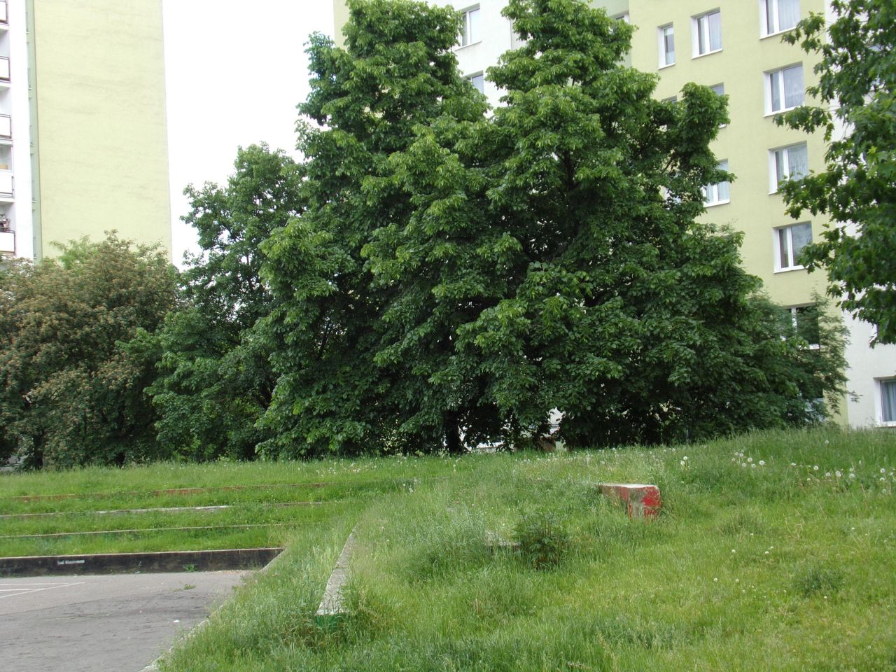 Mieszkanie 2-pokojowe Warszawa Praga-Południe, ul. Łukowska. Zdjęcie 23