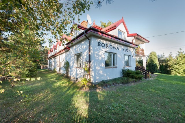 dom wolnostojący, 10 pokoi Nowe Borowe. Zdjęcie 1