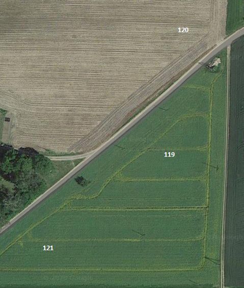 Działka budowlana Brzozie Lubawskie. Zdjęcie 3