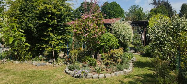 Działka rekreacyjna Bytom Stroszek, ul. Myśliwska. Zdjęcie 1