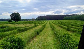 Działka budowlana Kopanki