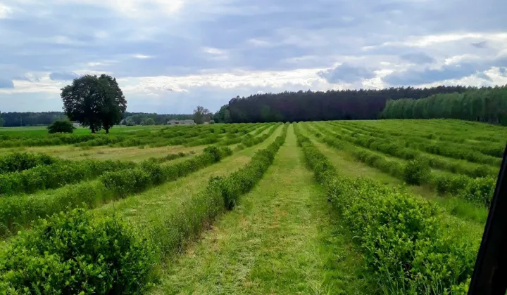 Działka budowlana Kopanki