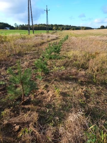 Działka budowlana Świekatowo. Zdjęcie 1