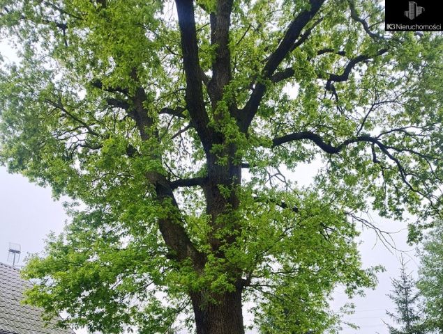 dom wolnostojący, 3 pokoje Ugoszcz. Zdjęcie 13