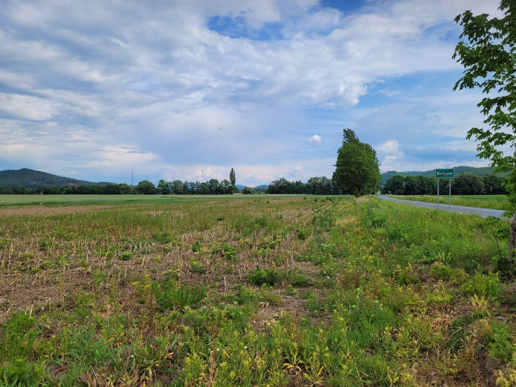 Działka budowlana Budzów. Zdjęcie 3