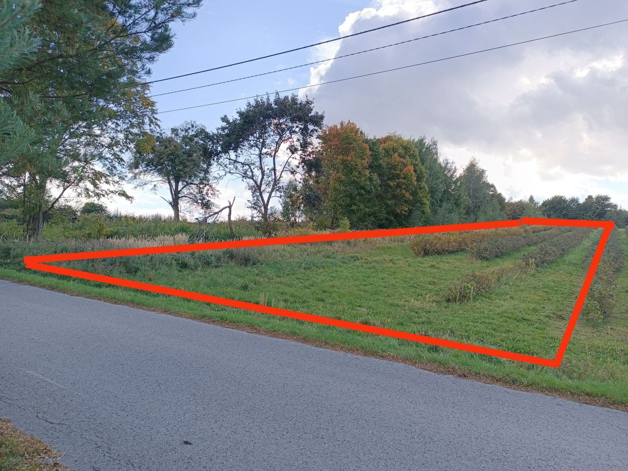 Działka Lipsko-Polesie. Zdjęcie 8