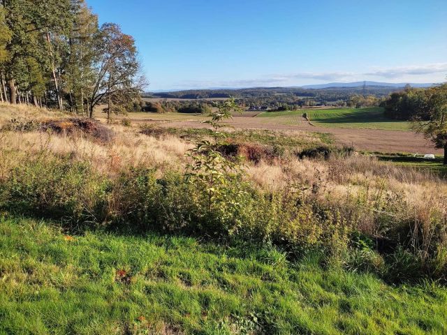 Działka siedliskowa Wesołówka. Zdjęcie 1