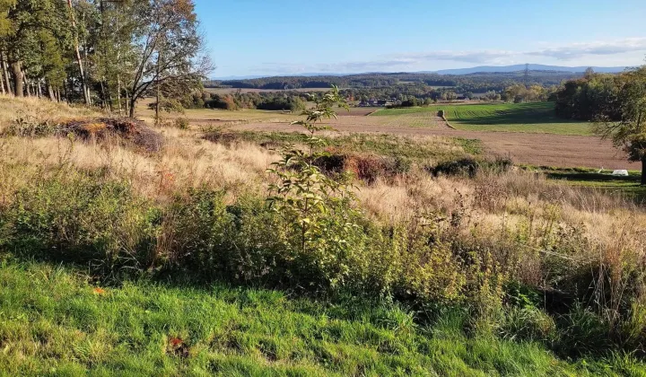 Działka siedliskowa Wesołówka