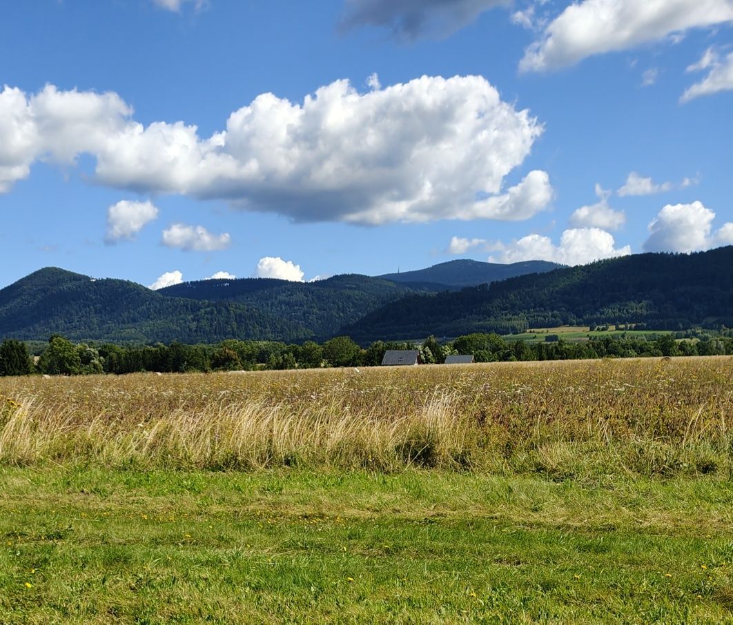 Działka budowlana Domaszków, ul. Polna. Zdjęcie 1