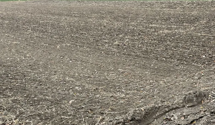 Działka budowlana Budziszów Wielki