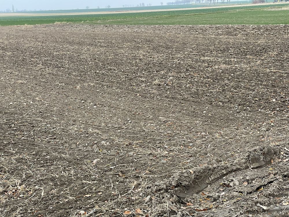 Działka budowlana Budziszów Wielki. Zdjęcie 1