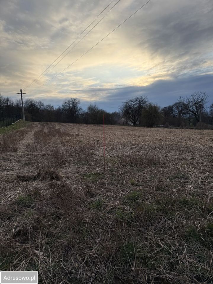 Działka budowlana Lubiatów. Zdjęcie 3