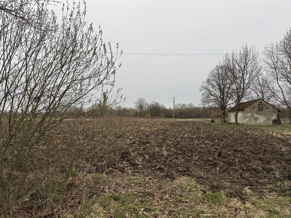 Działka rolno-budowlana Breń Osuchowski. Zdjęcie 8