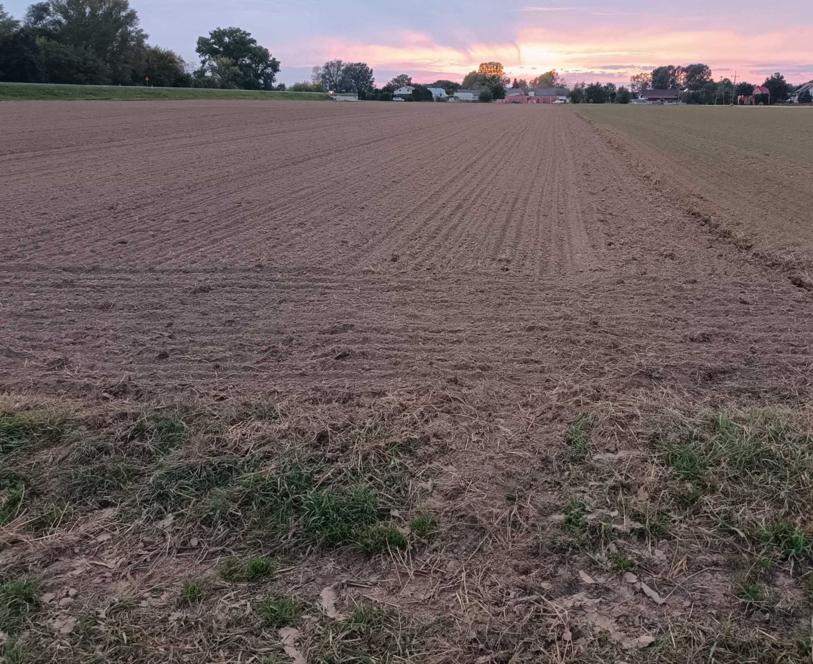 Działka rolno-budowlana Gołąb. Zdjęcie 4