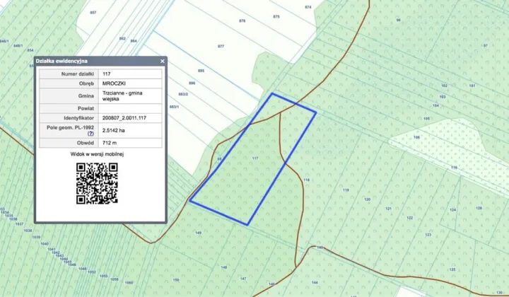 Działka leśna Mroczki