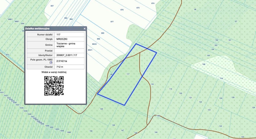 Działka leśna Mroczki