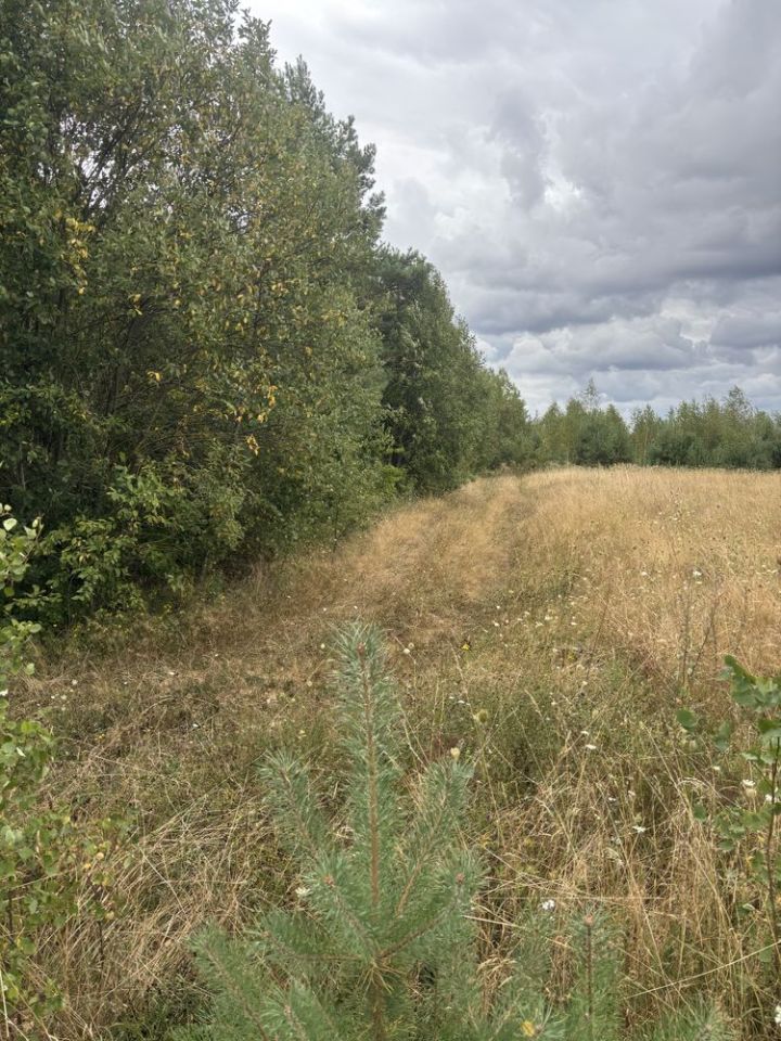 Działka budowlana Wola Łagowska. Zdjęcie 6