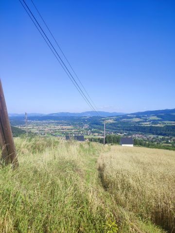 Działka budowlana Jazowsko Turchałówka. Zdjęcie 1