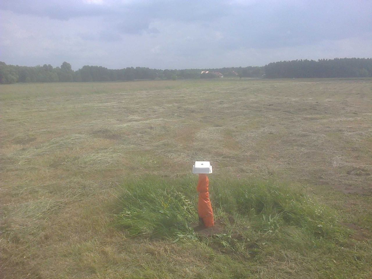 Działka rolna Biała Podlaska. Zdjęcie 2