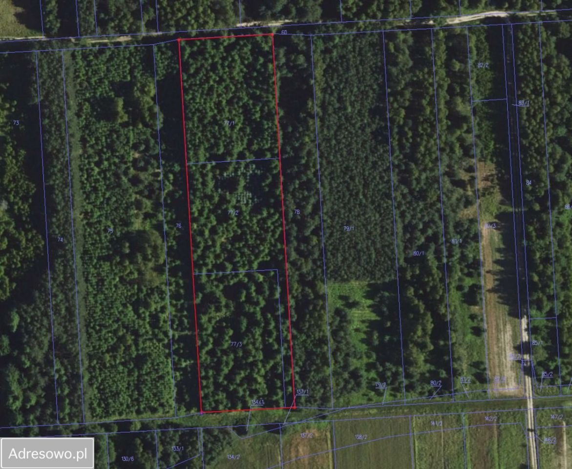 Działka budowlana Siedliska. Zdjęcie 5