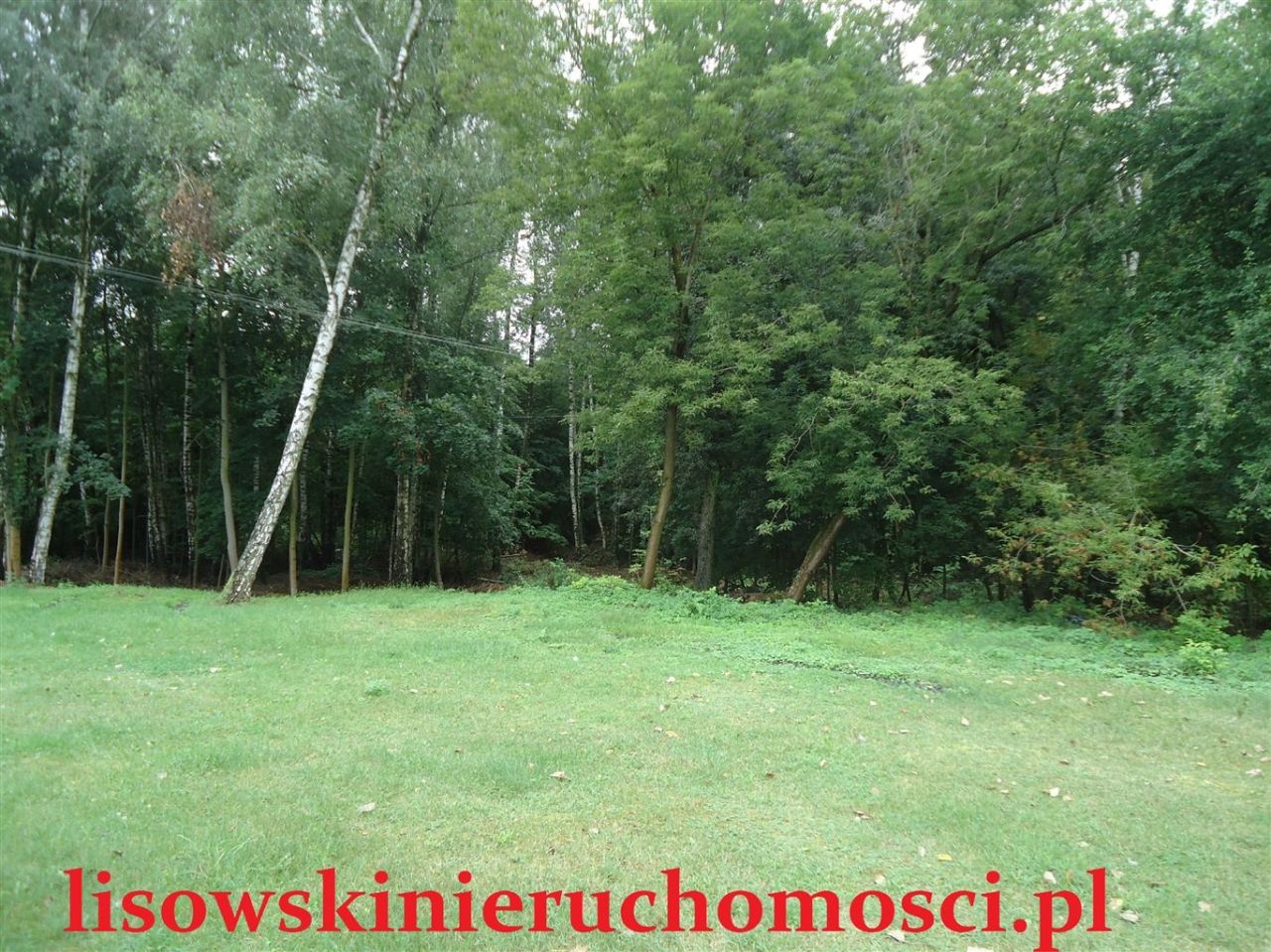 dom wolnostojący, 5 pokoi Emilia. Zdjęcie 36