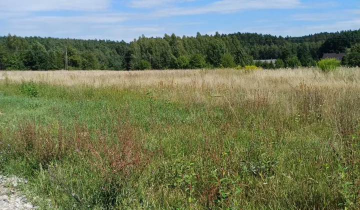 Działka budowlana Letniki