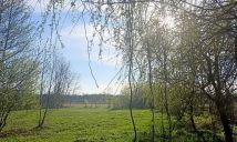 Działka siedliskowa Podbiel. Zdjęcie 1