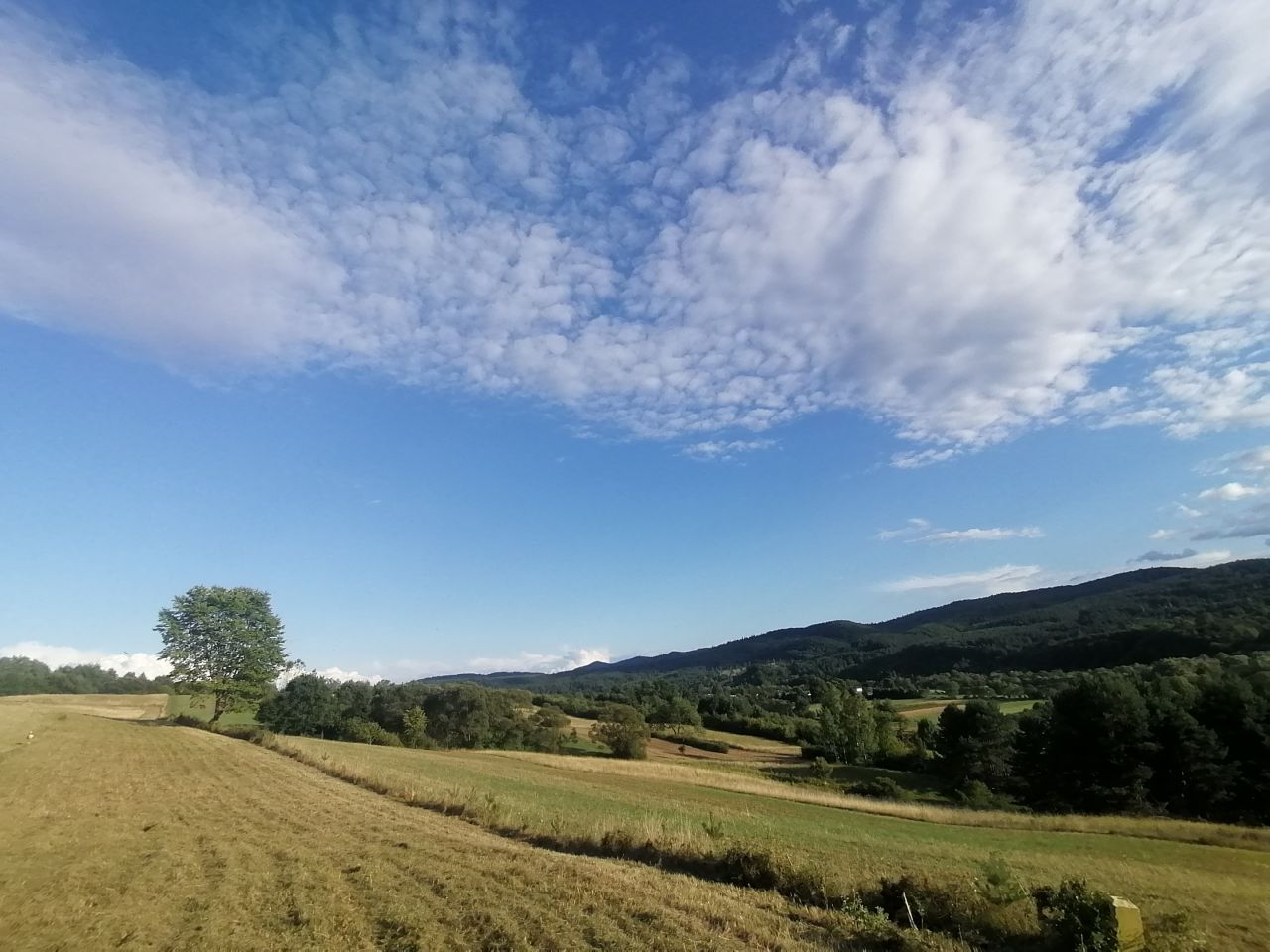 Działka rekreacyjna Rybotycze. Zdjęcie 40