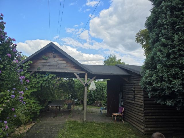 Działka rod Ruda Śląska Orzegów. Zdjęcie 1