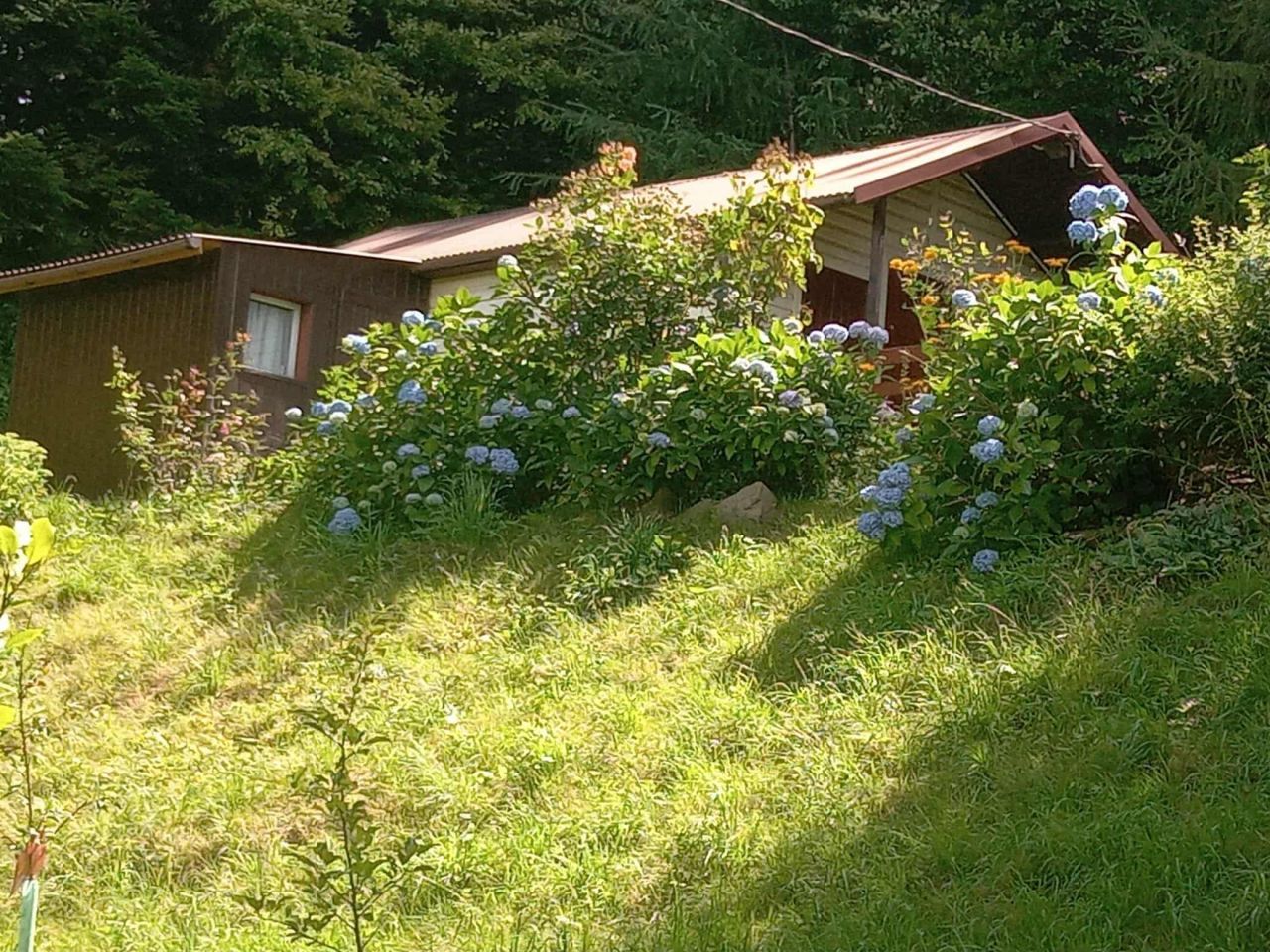 Działka budowlana Pewel Wielka. Zdjęcie 7