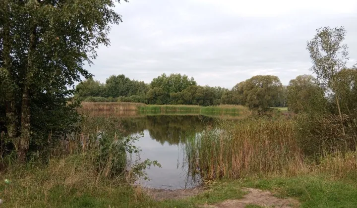 Działka rolna Krzywanice