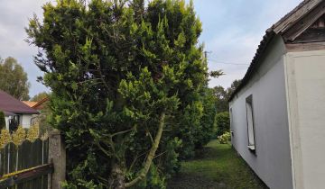 Działka rolno-budowlana Runowo Jakubowo