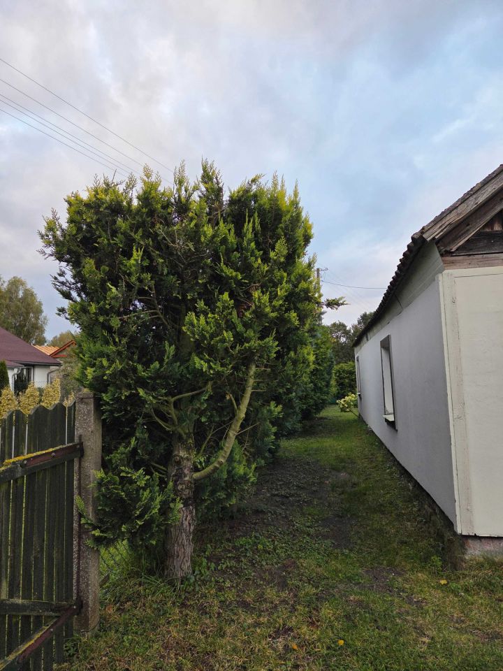 Działka rolno-budowlana Runowo Jakubowo. Zdjęcie 2