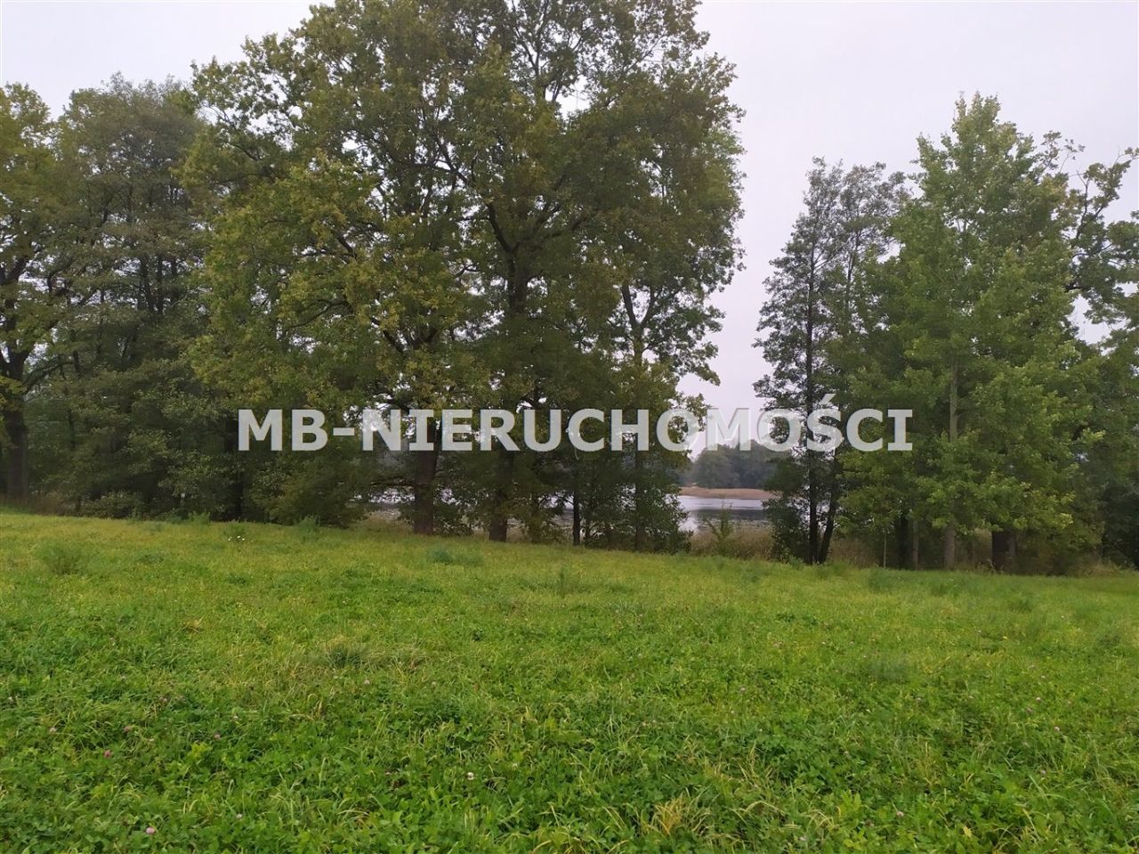 Działka rolna Sorkwity. Zdjęcie 2