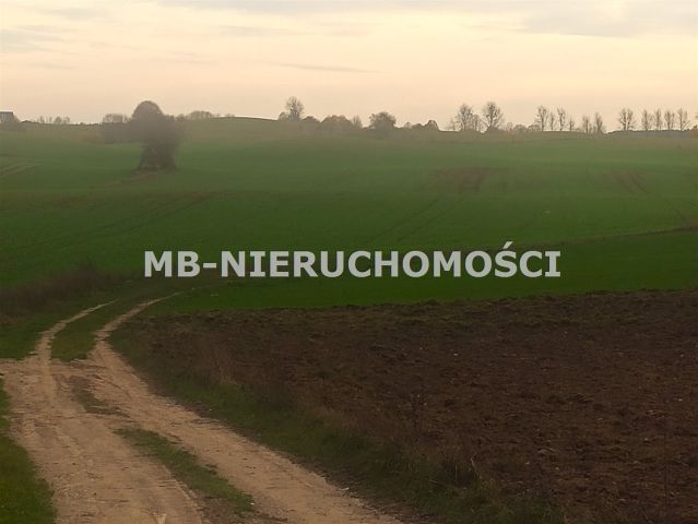 Działka rolna Jurgi. Zdjęcie 7