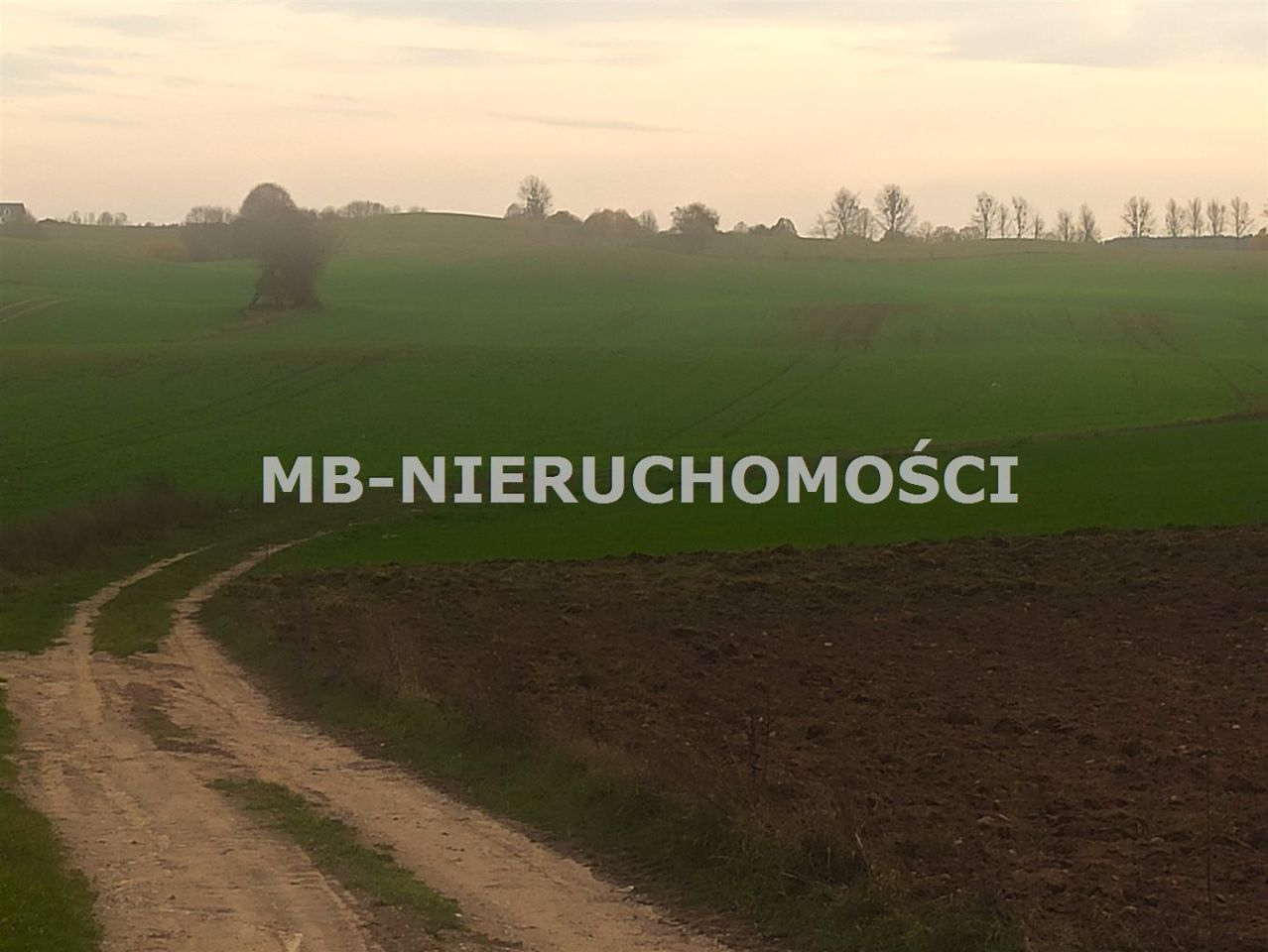 Działka rolna Jurgi. Zdjęcie 7