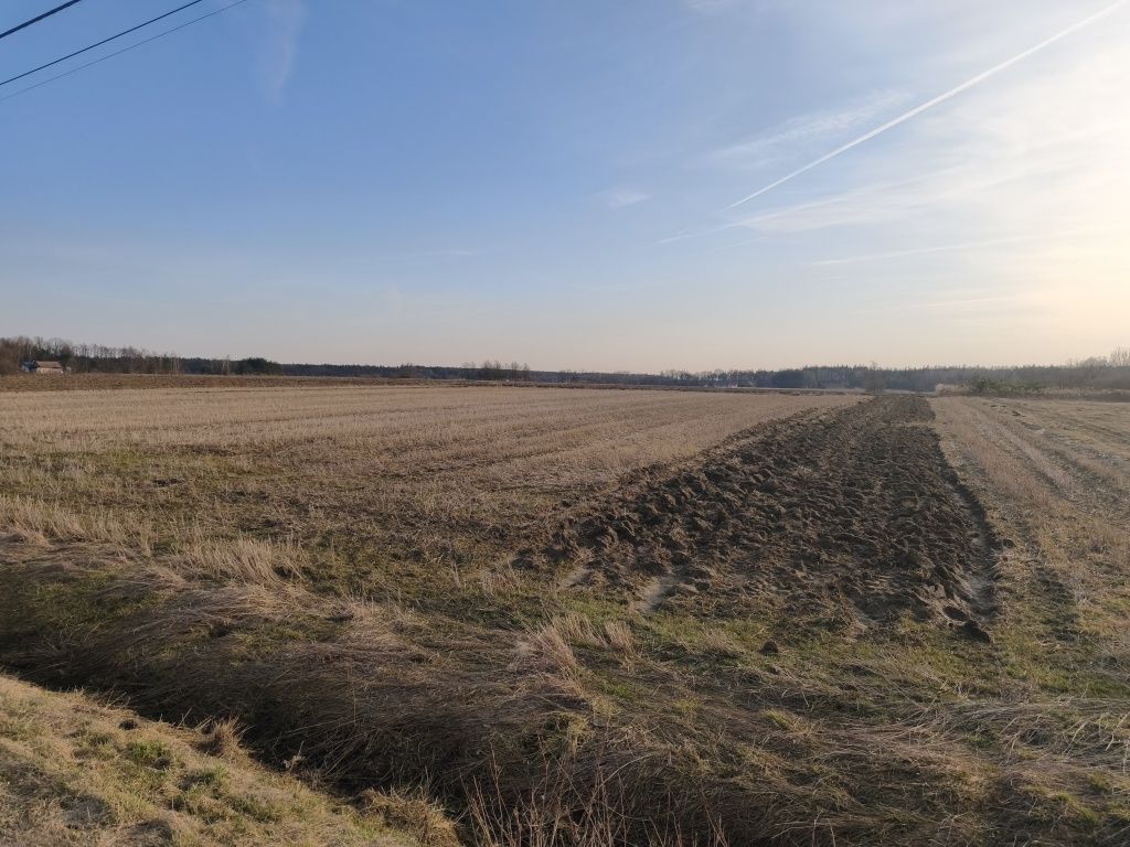 Działka rolno-budowlana Luszowice. Zdjęcie 5